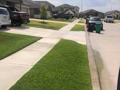 Lawn Care service in College Station, 77840