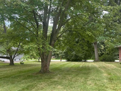 Lawn Care service in Cuyahoga Falls, 44221