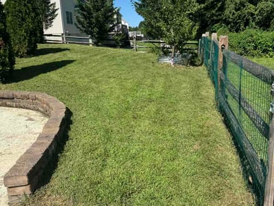 Lawn Care service in Bear, 19701