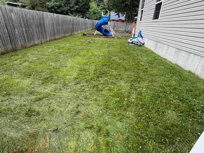 Lawn Care service in Claymont, 19703