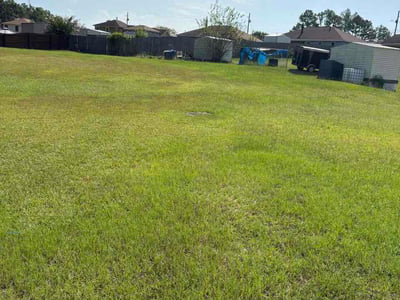 Lawn Care service in Columbus, 31901