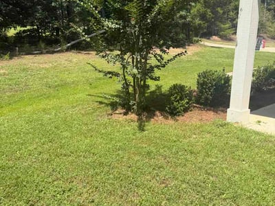 Lawn Care service in Columbus, 31901