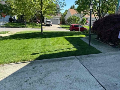 Lawn Care service in Atlantic City, 08401