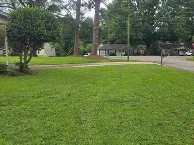 Lawn Care service in Calera, 35040