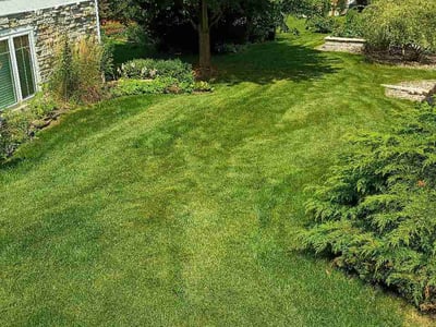 Lawn Care service in Waunakee, 53597