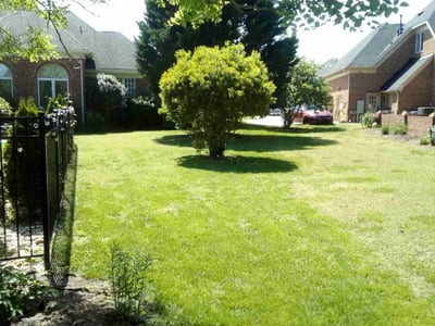 Lawn Care service in Smithfield, 23430