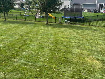 Lawn Care service in Stoughton, 53589