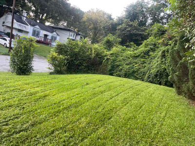 Lawn Care service in Princeton, 24740