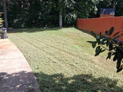 Lawn Care service in Princeton, 24740