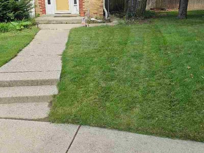 Lawn Care service in Greendale, 53129