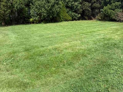 Lawn Care service in Greendale, 53129