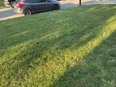 Lawn Care service in Fort Washington, 20744