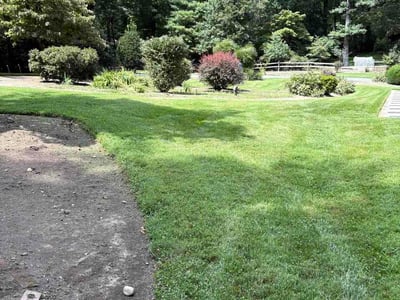Lawn Care service in La Plata, 20646