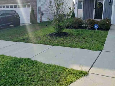 Lawn Care service in La Plata, 20646
