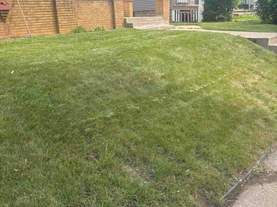 Lawn Care service in Hartford, 53027