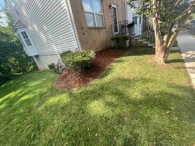 Lawn Care service in Upper Marlboro, 20772