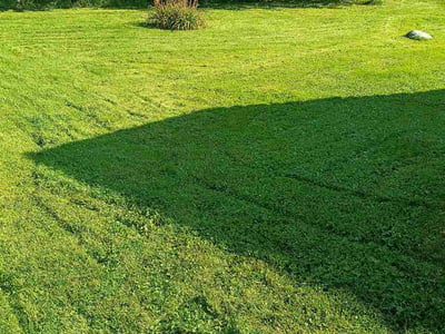 Lawn Care service in Deforest, 53532
