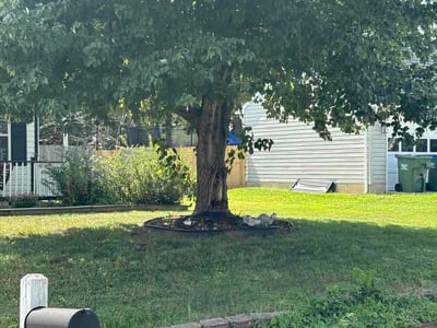 Lawn Care service in Burke, 22015