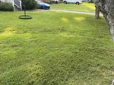 Lawn Care service in Chesapeake, 23320