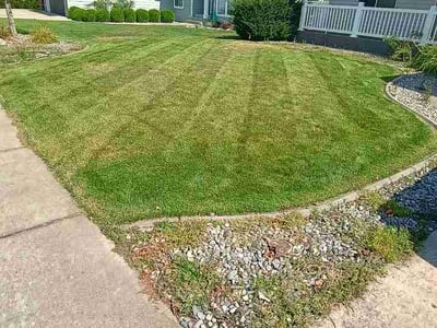 Lawn Care service in Sedro Woolley, 98284