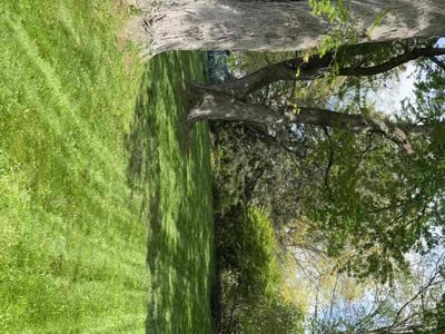 Lawn Care service in Sheboygan, 53081