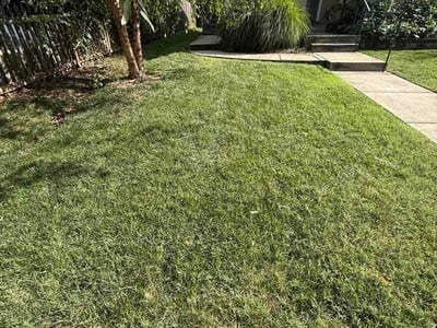 Lawn Care service in Centreville, 20120