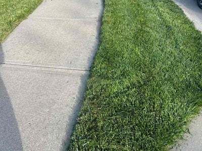 Lawn Care service in Lake Stevens, 98258