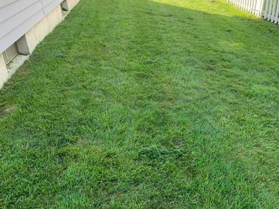 Lawn Care service in Phillipsburg, 08865