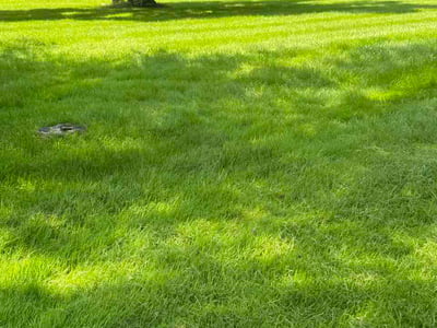Lawn Care service in Phillipsburg, 08865