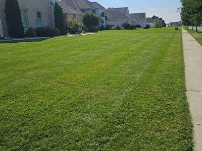 Lawn Care service in Perrysburg, 43551