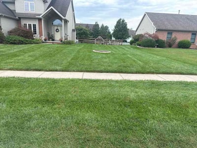Lawn Care service in Perrysburg, 43551