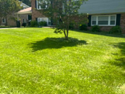 Lawn Care service in Clinton, 20735