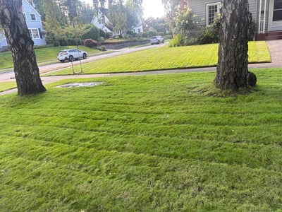 Lawn Care service in Graham, 98338