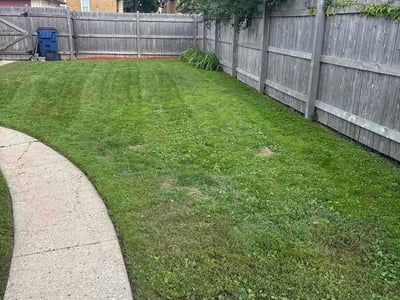 Lawn Care service in Mukwonago, 53149