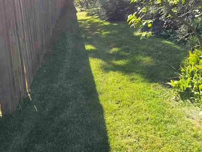 Lawn Care service in Mukwonago, 53149