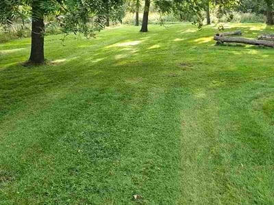 Lawn Care service in Mukwonago, 53149