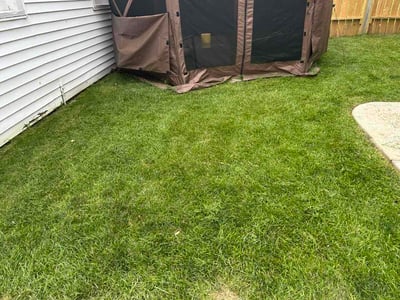 Lawn Care service in Mukwonago, 53149