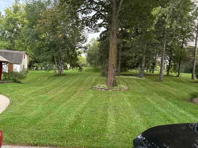 Lawn Care service in Pewaukee, 53072