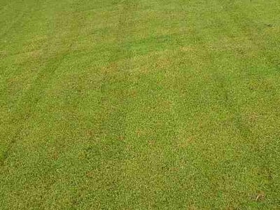 Lawn Care service in Owensboro, 42303