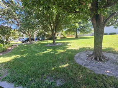 Lawn Care service in Harrisonburg, 22802