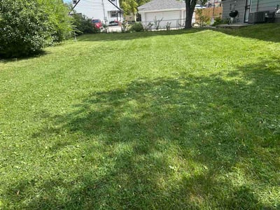 Lawn Care service in Pewaukee, 53072