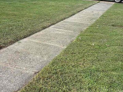 Lawn Care service in Lorton, 22079