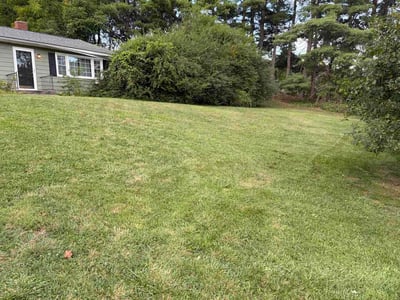 Lawn Care service in Staunton, 24401