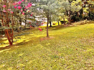 Lawn Care service in Germantown, 20874
