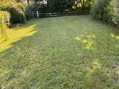 Lawn Care service in Virginia Beach, 23451