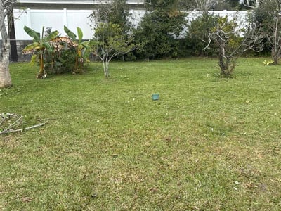 Lawn Care service in Kent, 98032