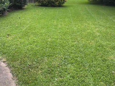 Lawn Care service in Danville, 24541