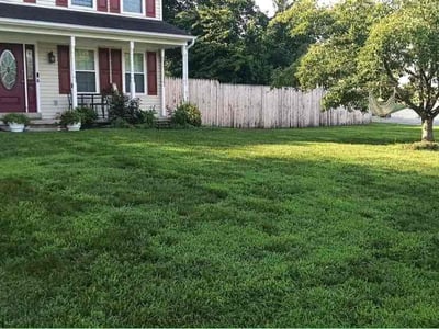Lawn Care service in Waldorf, 20603
