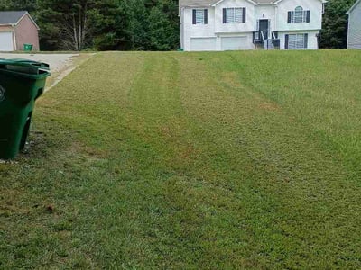 Lawn Care service in London, 40741
