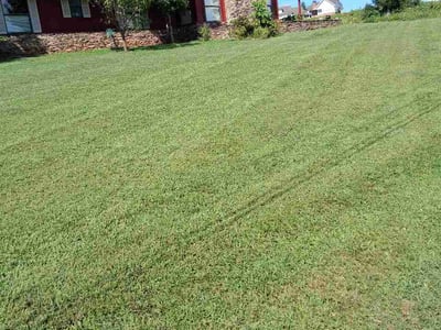 Lawn Care service in Sevierville, 37862